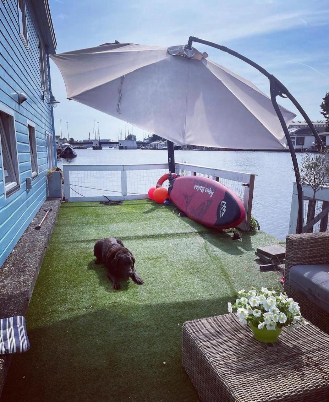 Amster Houseboat Bed Without Breakfast Bed and Breakfast Amsterdam Eksteriør billede